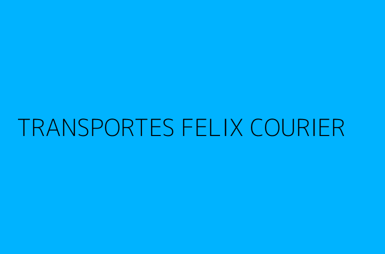 TRANSPORTES FELIX COURIER